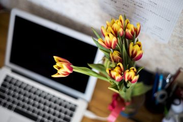 The skills that actually land remote jobs in 2026